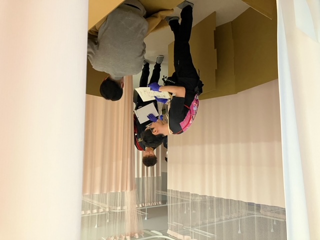 image6.jpeg