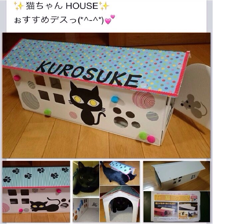cat_house_01.png
